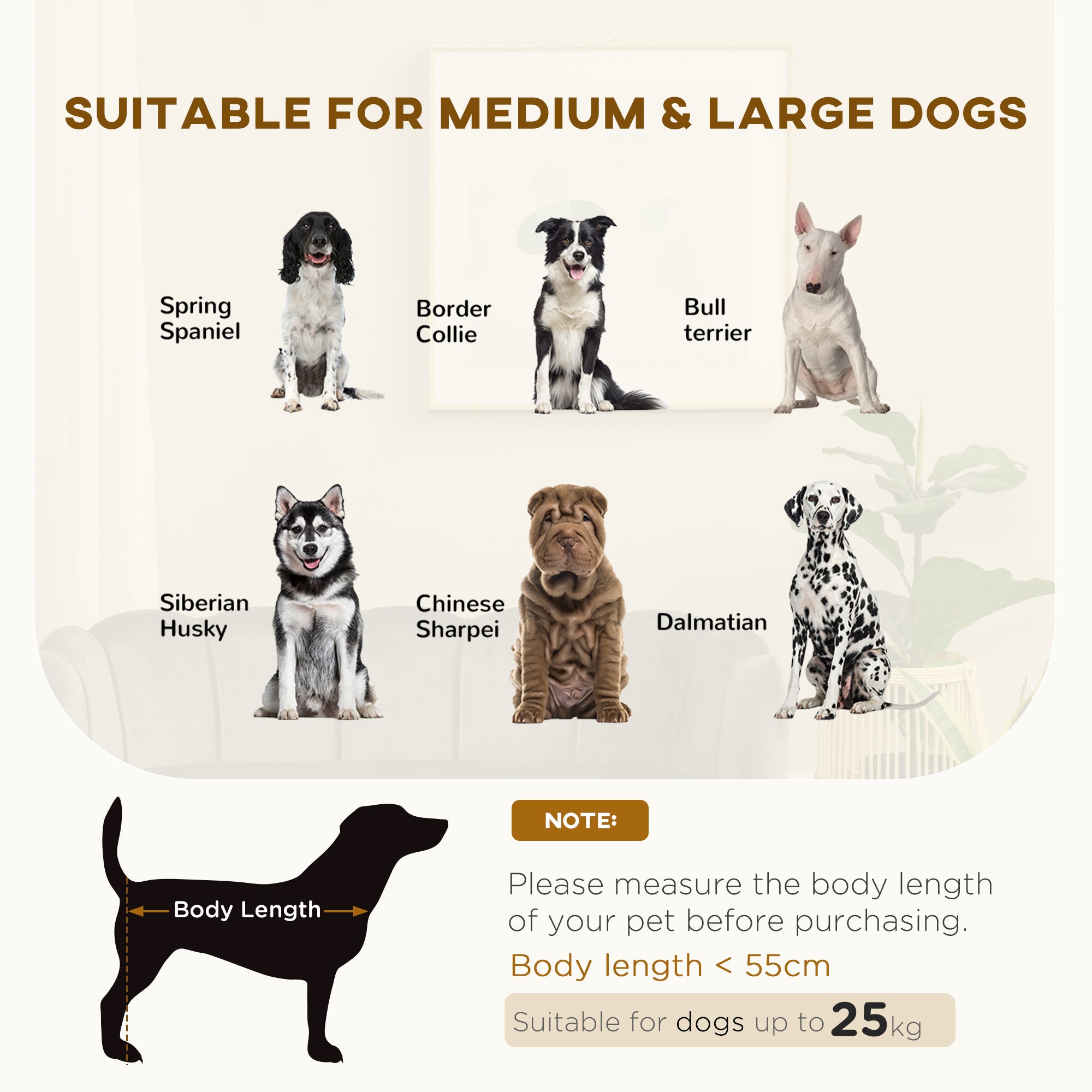 Pearl Design Pet Sofa for Medium and Large Sized Dogs, Pet Bed with Cushion and Solid Wood Legs, Charcoal Gray CITADEL