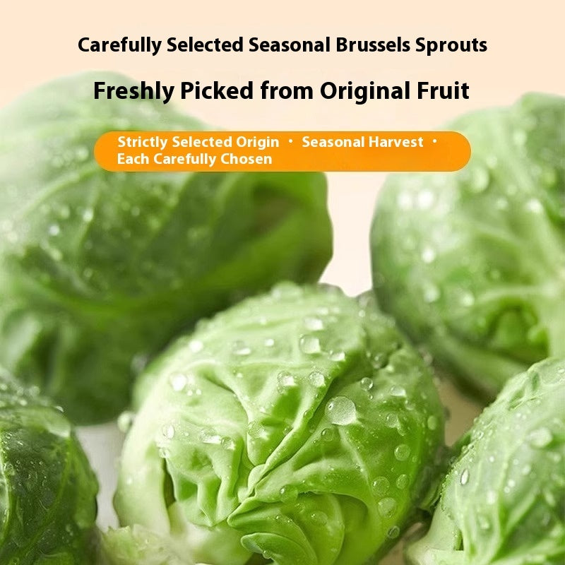 Dog Snacks Brussels Sprouts Freeze-dried Food CITADEL