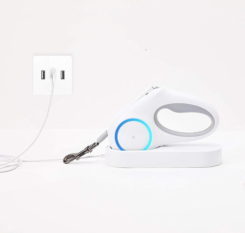 Dog leash retraction CITADEL