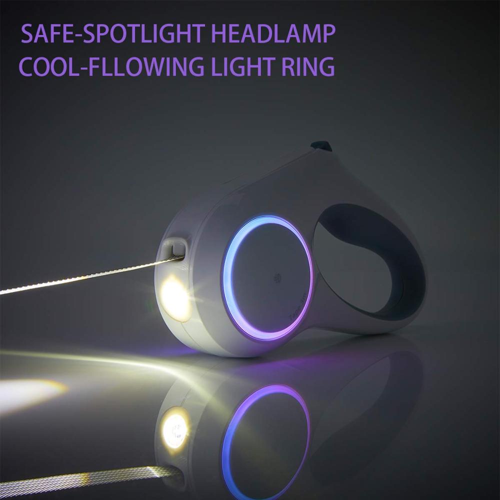 Dog leash retraction CITADEL