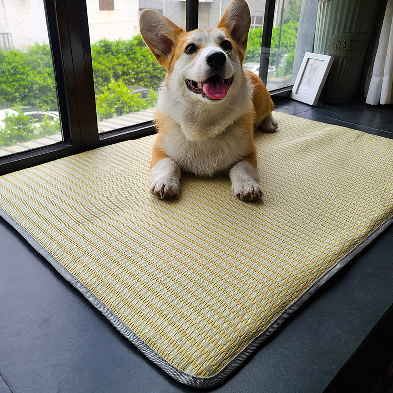 Dog Mat Sleeping With Pet Mat Summer Mat Anti Bite Mattress Cat Non Stick Hair Ice Mat Dog Mat CITADEL