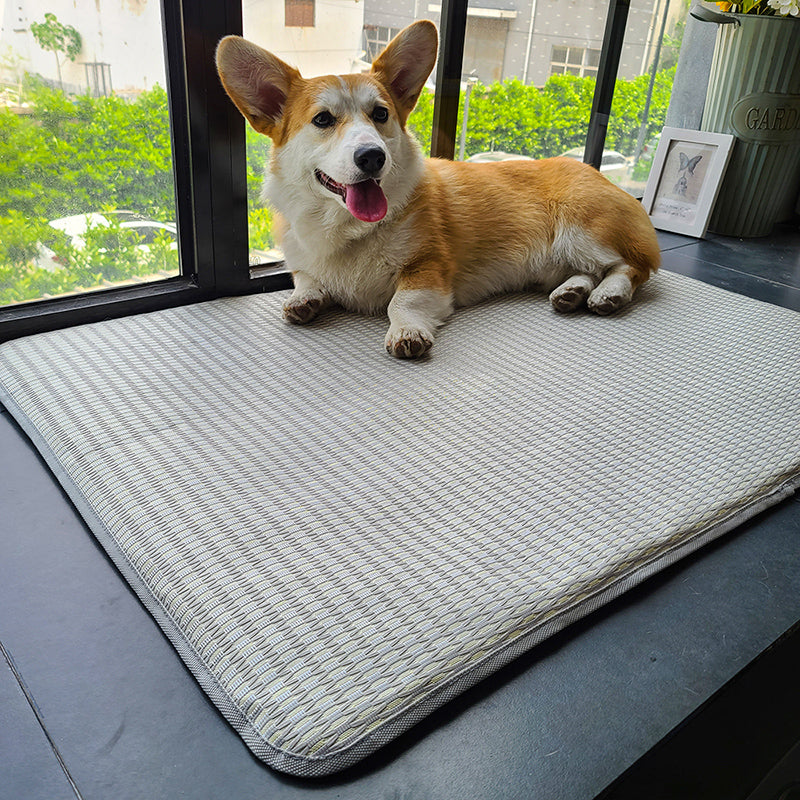 Dog Mat Sleeping With Pet Mat Summer Mat Anti Bite Mattress Cat Non Stick Hair Ice Mat Dog Mat CITADEL