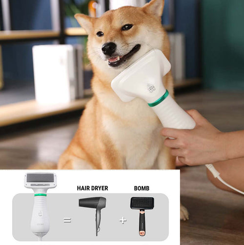 2 in 1 Pet Drying Brush Pet Hair Dryer Comb CITADEL