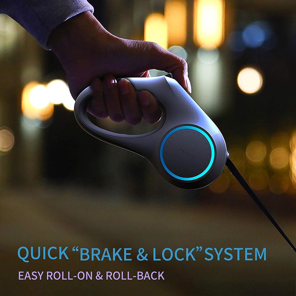 Dog leash retraction CITADEL