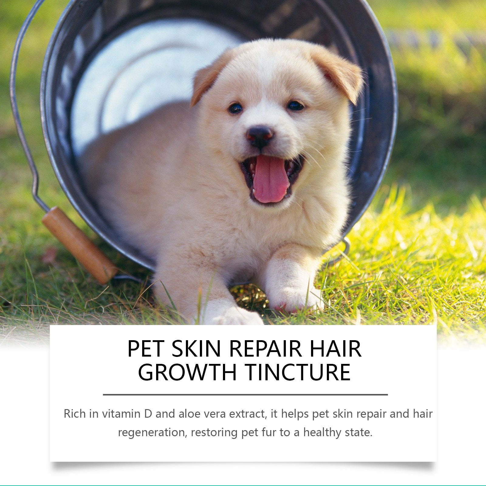 Nutritional Massage Drops For Pet Skin Repair CITADEL