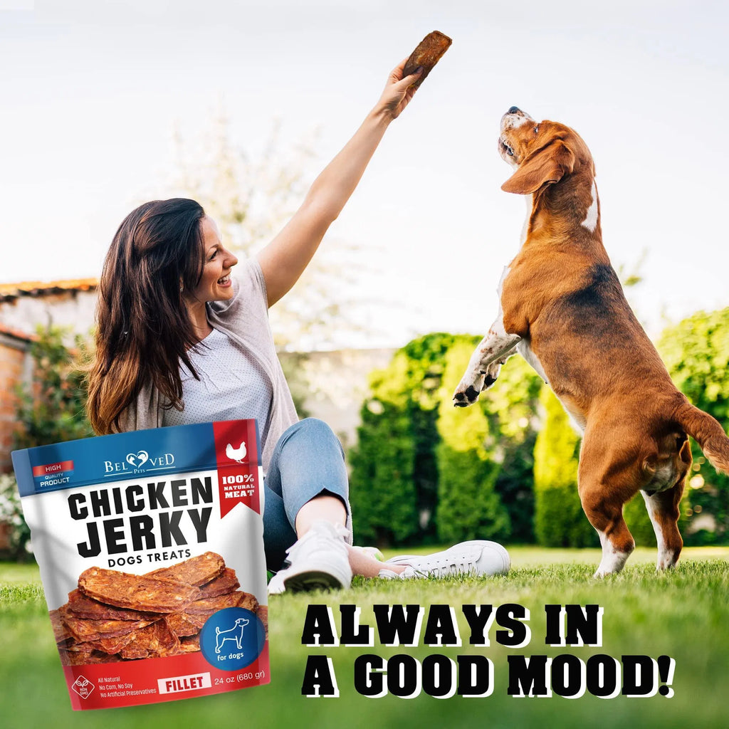 Chicken Jerky Dog Treats 1.5 Lb Human Grade Pet Snacks Grain Free Organic Meat All Natural High Protein Dried Strips Best Chews For Training Small & Large Dogs CITADEL
